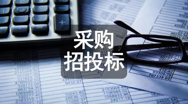 湛江最新投標(biāo)招標(biāo)官網(wǎng)，湛江招標(biāo)投標(biāo)信息平臺(tái)官方網(wǎng)站