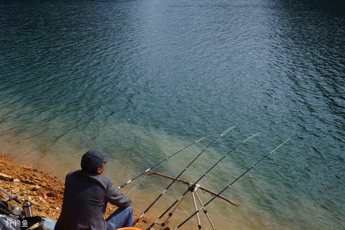 灤平釣魚(yú)最新視頻大全，精彩瞬間回顧，釣魚(yú)愛(ài)好者必看！，灤平釣魚(yú)精彩瞬間大盤點(diǎn)，釣魚(yú)愛(ài)好者不容錯(cuò)過(guò)的視頻盛宴