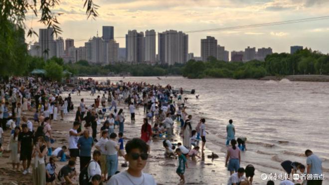 黃河邊抓魚最新消息，黃河畔捕魚盛況實時報道