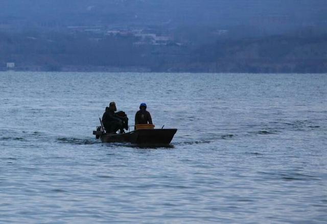 黃河邊抓魚最新消息，黃河畔捕魚盛況實時報道