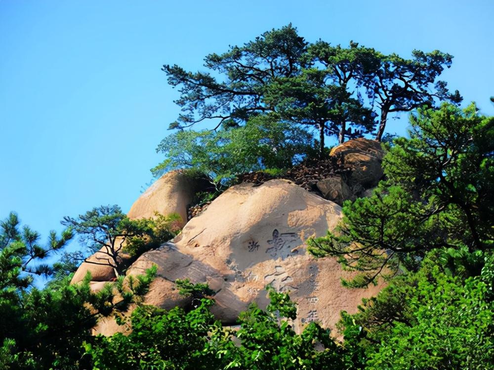 樂(lè)山新能源占比高，綠色發(fā)展的璀璨明珠，樂(lè)山，新能源璀璨明珠，綠色發(fā)展領(lǐng)先之路