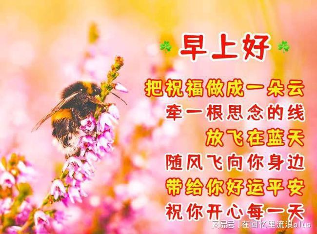 同學(xué)們早上好最新圖片，早上好最新圖片分享