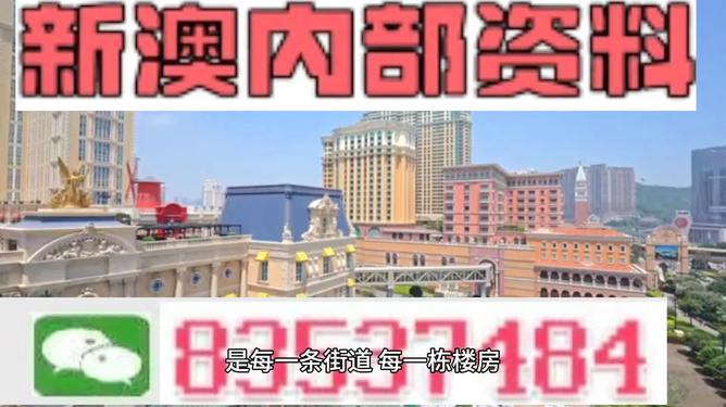 123澳門正版資料季季，關(guān)于澳門正版資料季季的犯罪問題探討