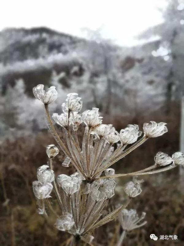 武漢天氣初雪最新消息，武漢初雪來臨，最新天氣消息更新