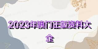 2023澳門正版資料大全查詢，澳門正版資料大全查詢，最新信息一網(wǎng)打盡（2023版）