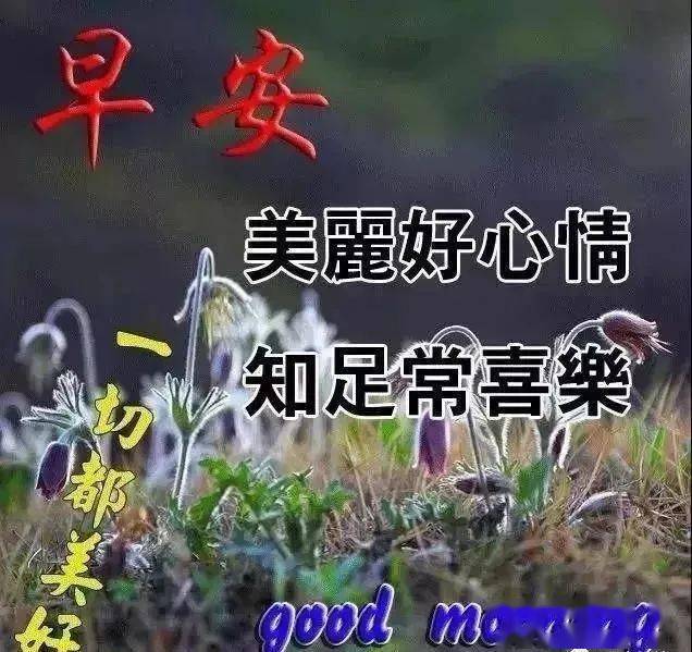 最新早安隆回完整版歌詞賞析，溫情喚醒美好清晨，早安隆回，喚醒晨光，溫情歌詞賞析