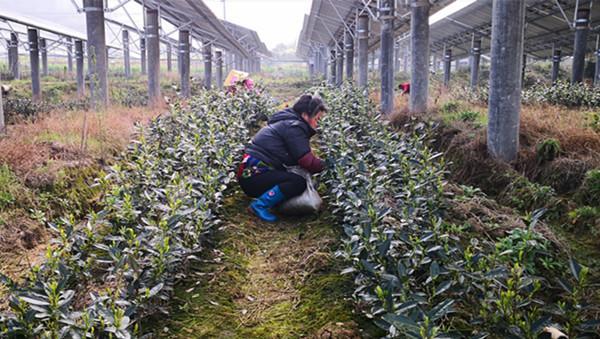 新能源車企誰沒上市公司,新能源車企誰沒上市公司啊，新能源車企哪些尚未上市？探究未上市公司名單