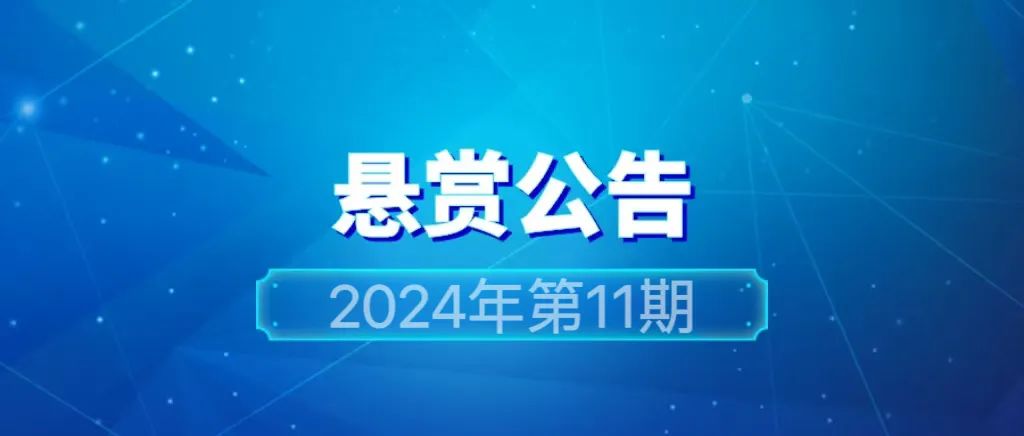 2024年管家婆的馬資料57期，2024年管家婆馬資料第57期解析