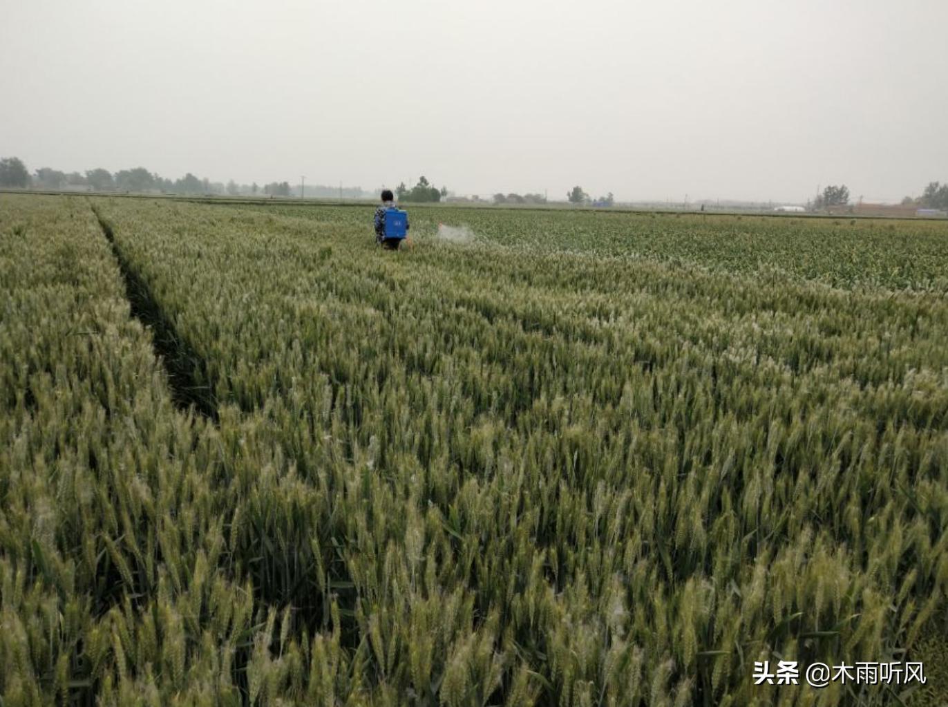 禾工新能源，引領(lǐng)新能源革命，塑造未來綠色生態(tài)，禾工新能源，引領(lǐng)革命，塑造綠色未來