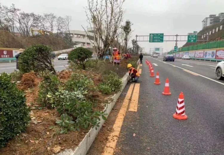 花溪大道改造最新進度，花溪大道改造最新進展揭秘