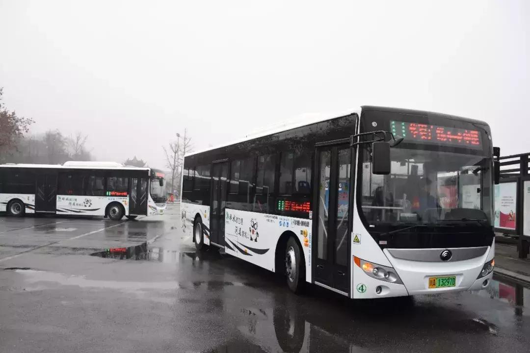 小型車推薦新能源汽車，精選小型新能源汽車推薦，綠色出行新選擇