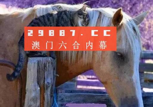 澳門今晚四不像正版資料，澳門今晚四不像開獎結果揭曉