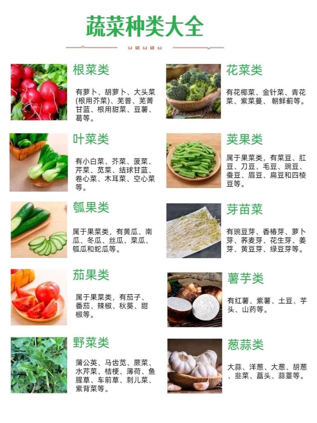 最新蔬菜品種推薦表格，最新蔬菜品種推薦表概覽