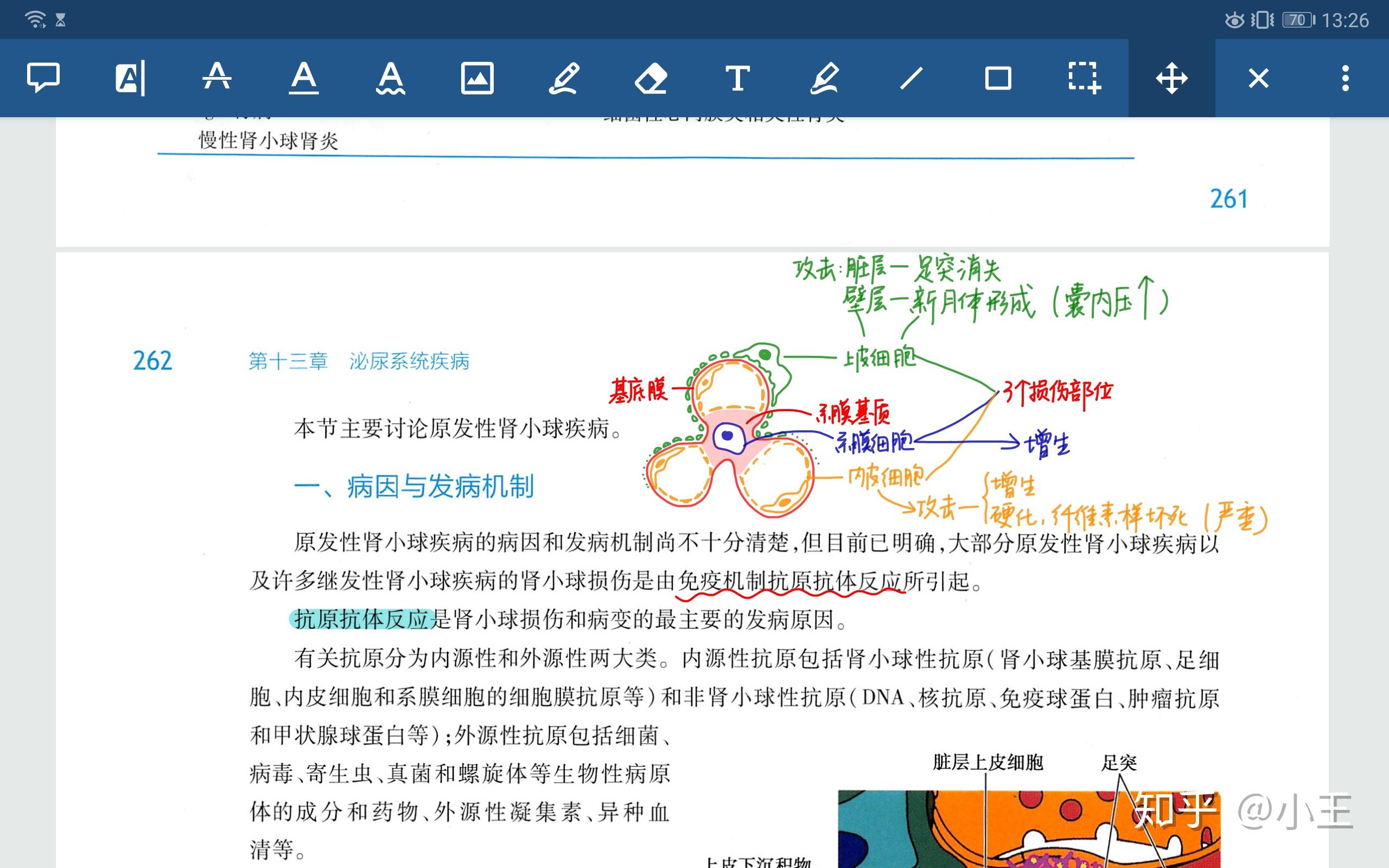 老版跑狗圖新版更新，老版跑狗圖新版更新概覽