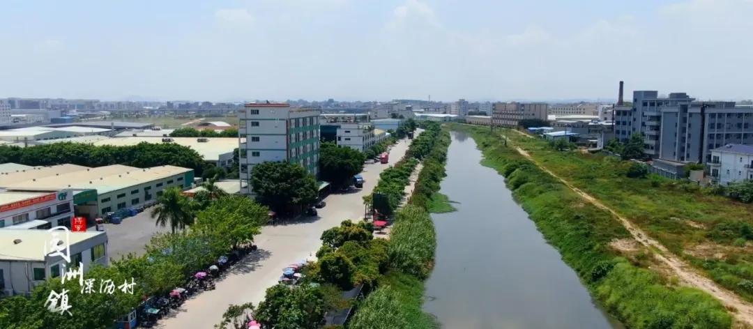 園洲鎮(zhèn)雨水情況最新報道，園洲鎮(zhèn)雨水最新情況報道速遞