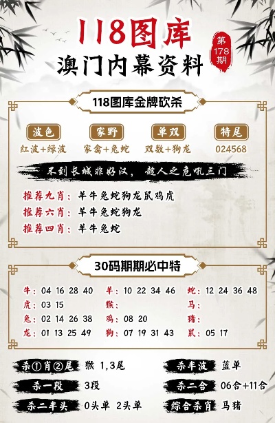 2024新澳資料免費精準(zhǔn)17期,澳門新彩，澳門新彩資料揭秘，精準(zhǔn)預(yù)測背后的風(fēng)險與警示