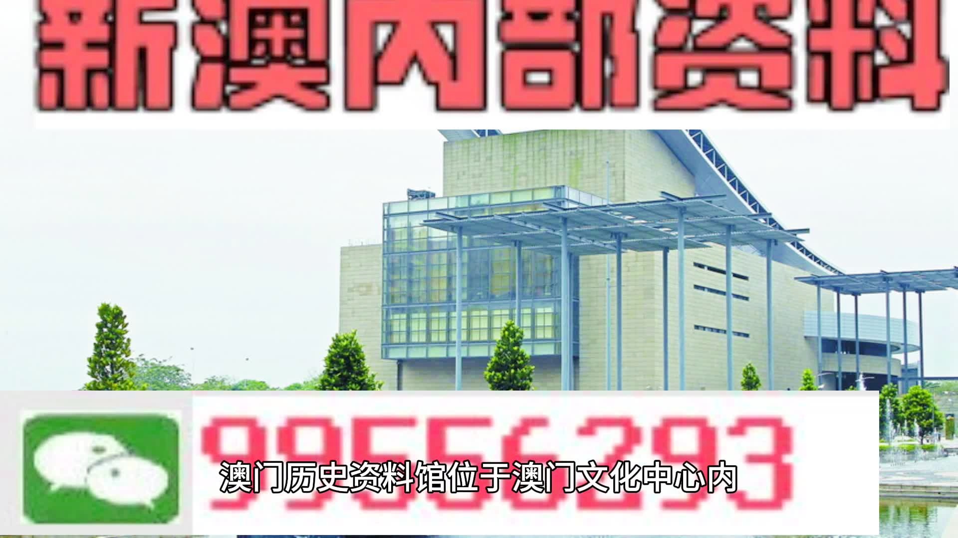 144期澳門資料2024，2024年144期澳門彩資料揭曉