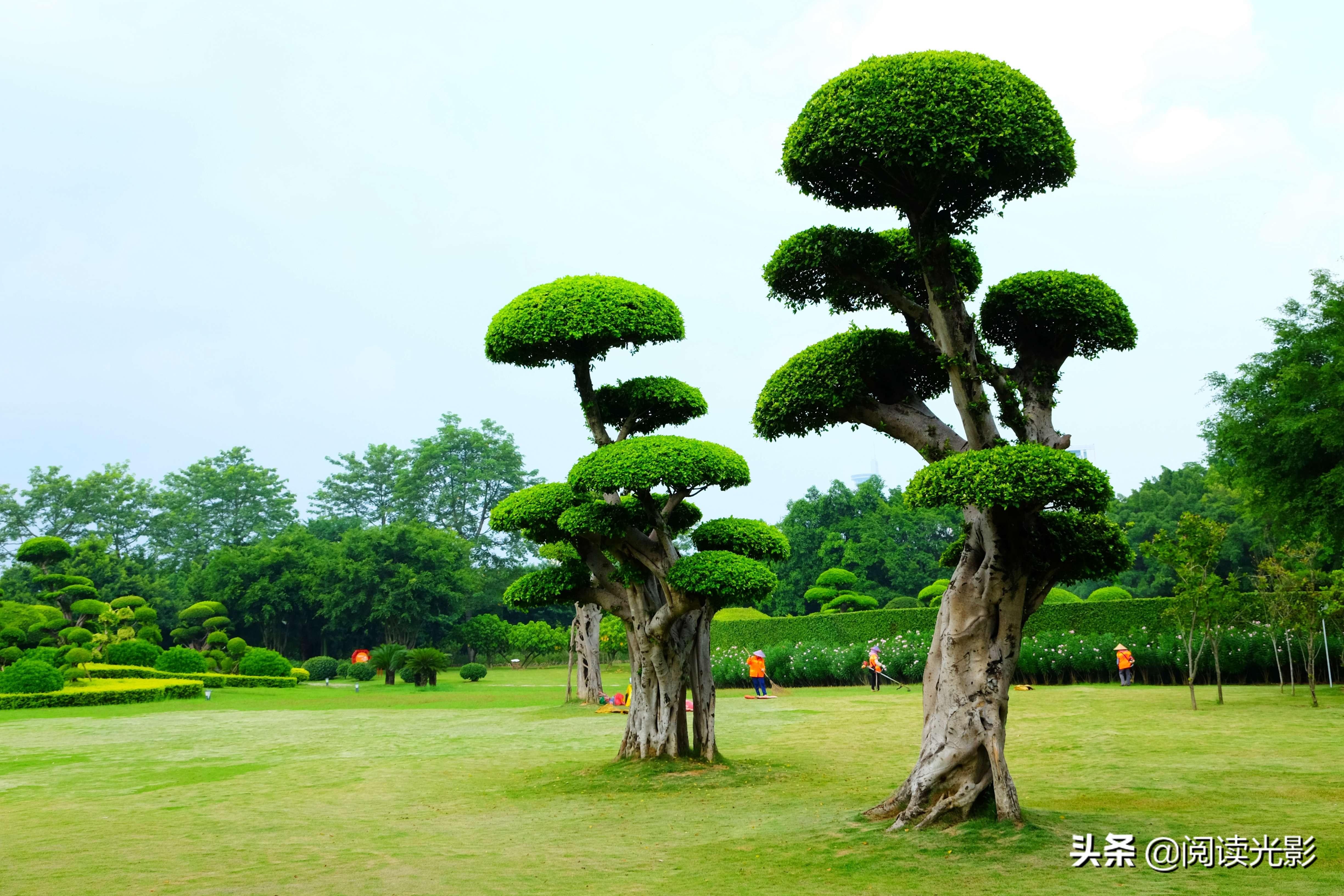 南湖之美再升級——綠城最新規(guī)劃引領生態(tài)宜居新風尚，南湖綠城新規(guī)劃，打造生態(tài)宜居典范，引領城市風尚升級